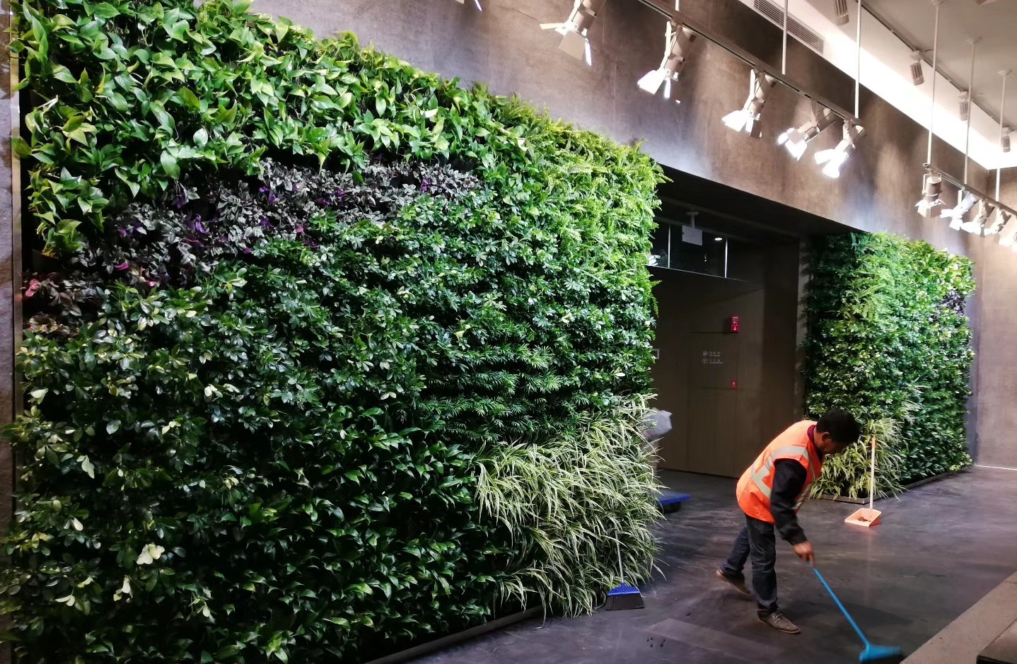 立體綠化在北方容易成活嗎？